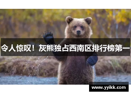 令人惊叹！灰熊独占西南区排行榜第一